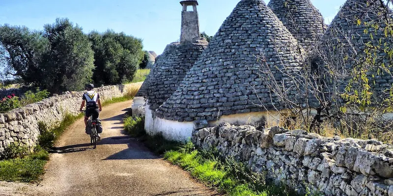 Ciclovia entre cerisiers en fleurs et murets de pierre blanche, Vallée d'Itria, mai, Pouilles