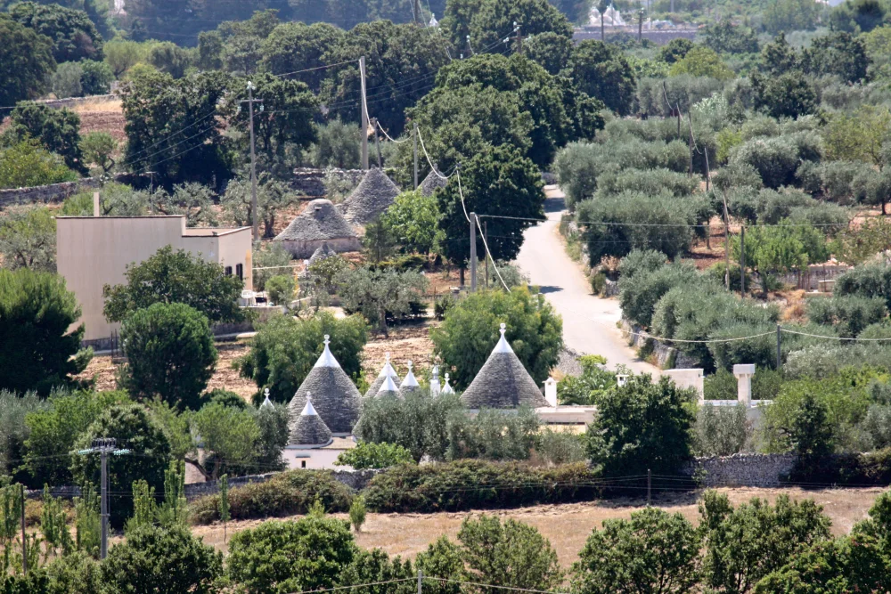 Campagne de Locorotondo avec trulli et oliveraies, Valle d'Itria, Pouilles
