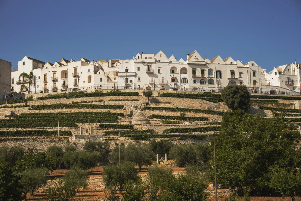 Panorama sur le village blanc de Locorotondo perché sur sa colline, Vallée d'Itria, Pouilles