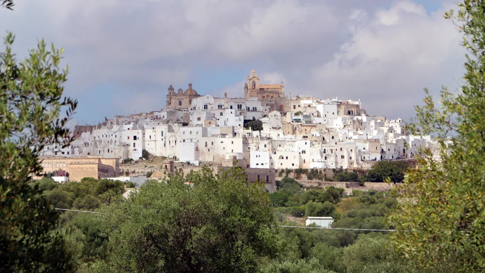 Panorama d'Ostuni trônant sur sa colline au-dessus d'un océan d'oliviers, Pouilles, Italie