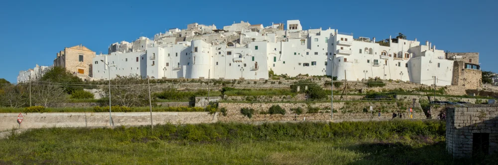 Panorama sur les maisons blanchies à la chaux d'Ostuni, la Città Bianca, perchées sur leur colline dominant une étendue d'oliviers, Pouilles, Italie