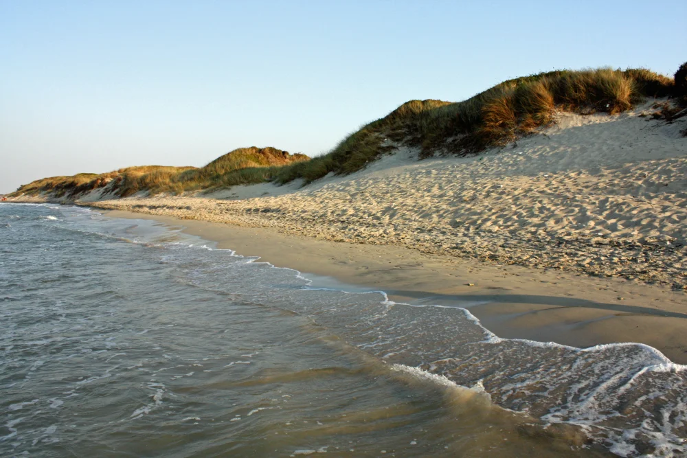 Plage sauvage et dunes préservées entre Torre Canne et la Marina di Ostuni, côte Adriatique, Pouilles