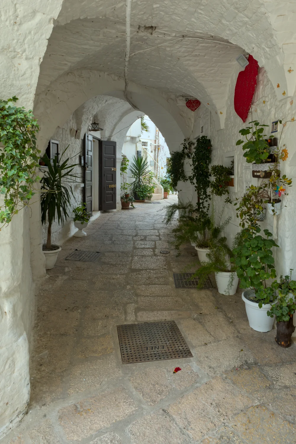 Ruelle fleurie de Cisternino avec géraniums rouges sur les murs blancs, centre historique, Pouilles