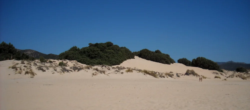 Les dunes de sable blond de Chia avec des flamants roses dans la lagune en arrière-plan, Sardaigne