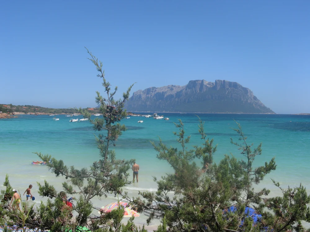 Baie de Porto Istana aux eaux turquoise, vue panoramique vers l'île de Tavolara, Olbia, Sardaigne