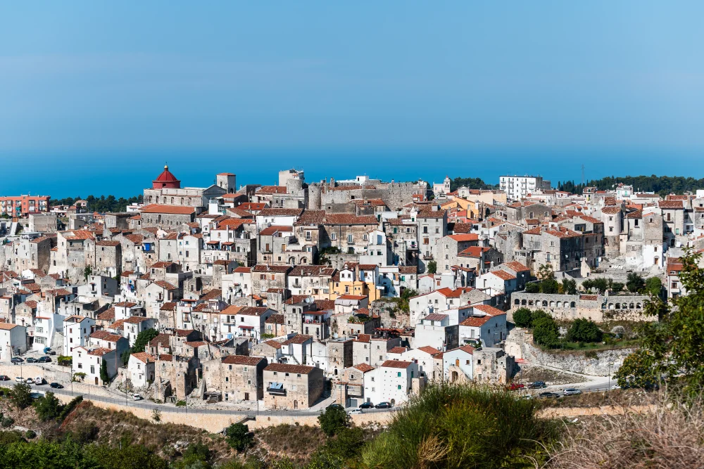 Ruelle pavée et étroite du centre historique de Vico del Gargano avec ses maisons en pierre sombre, Gargano, Pouilles