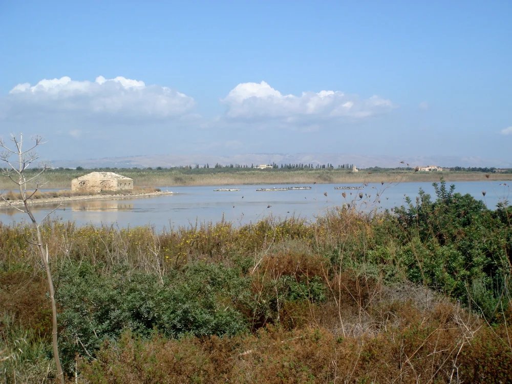 Réserve naturelle de Vendicari, étangs salés et flamants roses, côte sud-est de la Sicile, paradis des Moustiques en Sicile