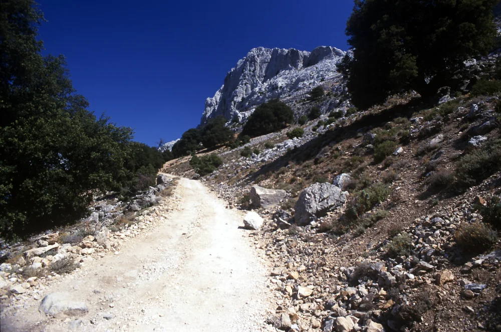 Route sinueuse dans le massif du Supramonte en direction de Scala e Pradu, une étape de la Zone Bleue en Sardaigne, Barbagia