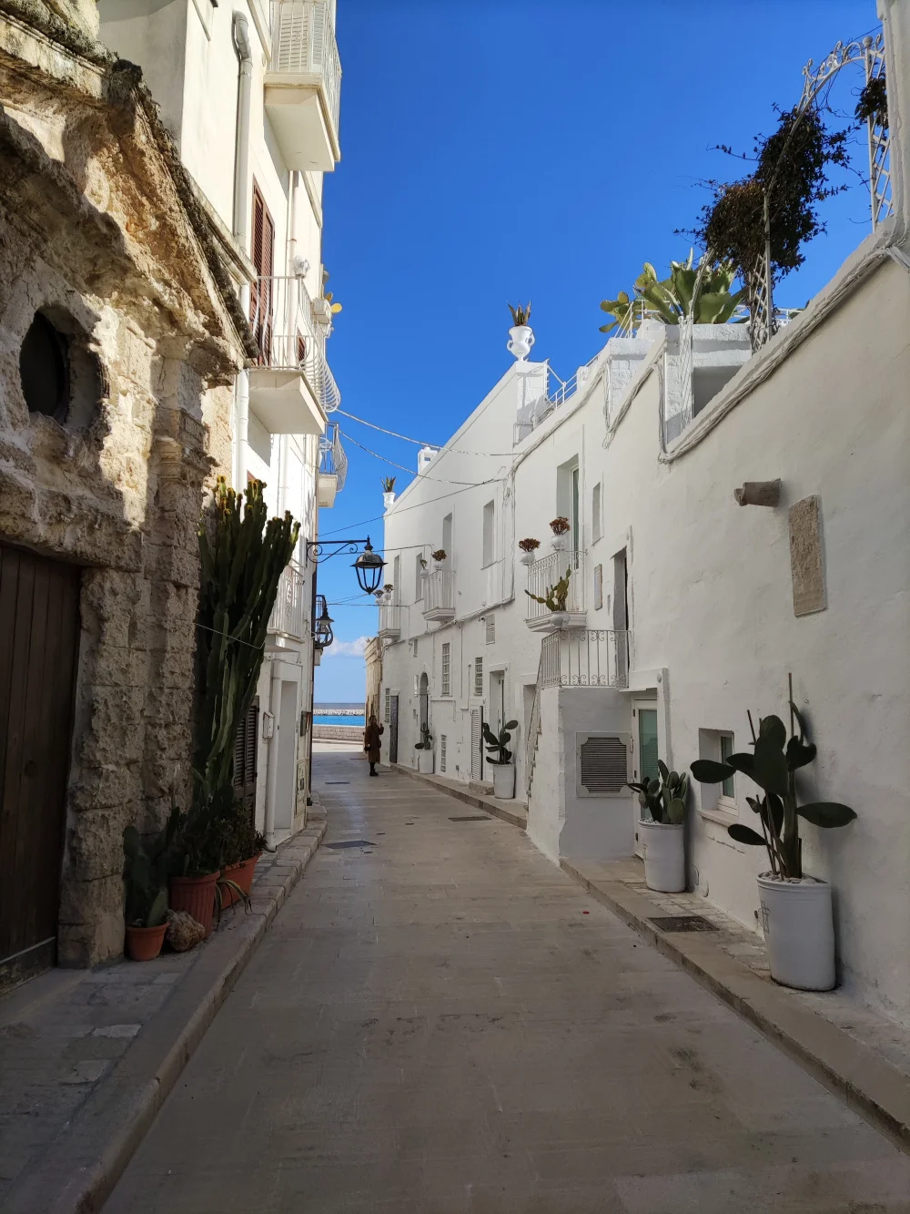 Petite ruelle pavée du centro storico de Monopoli, maisons blanchies à la chaux et balcons fleuris, Pouilles