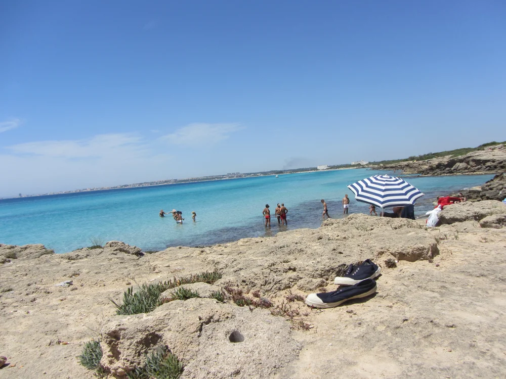 Crique rocheuse de Punta della Suina entourée de pins, Salento, Pouilles