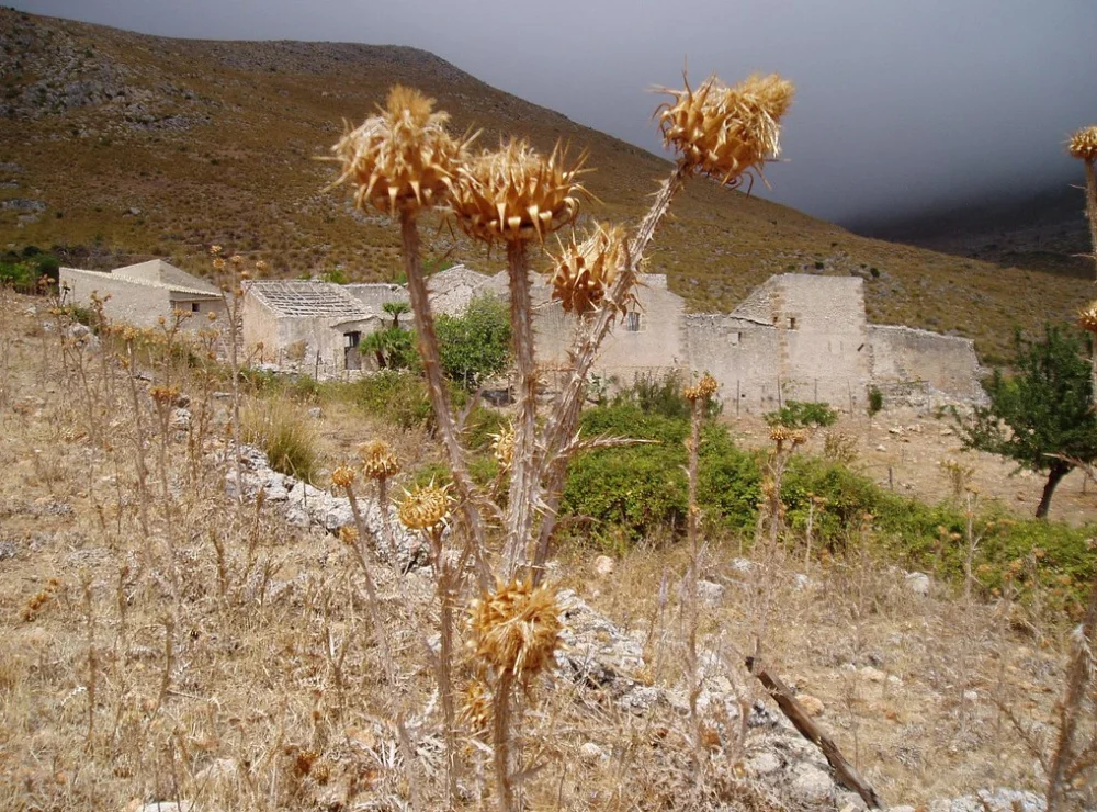 Ruines en pierre sèche du Borgo Cusenza sur le sentier de mi-côte, Riserva dello Zingaro
