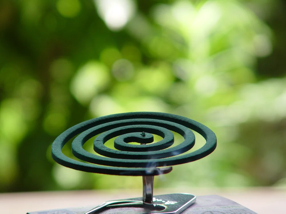 Spirale Zampirone incandescente posée sur une soucoupe pour repousser les moustiques en soirée