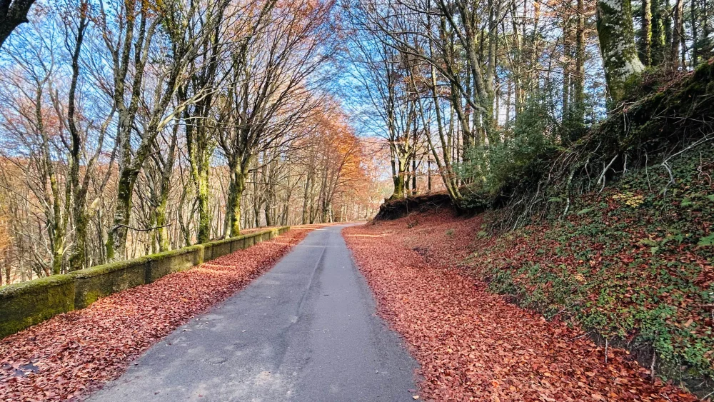 Route de montagne sinueuse dans l'arrière-pays calabrais