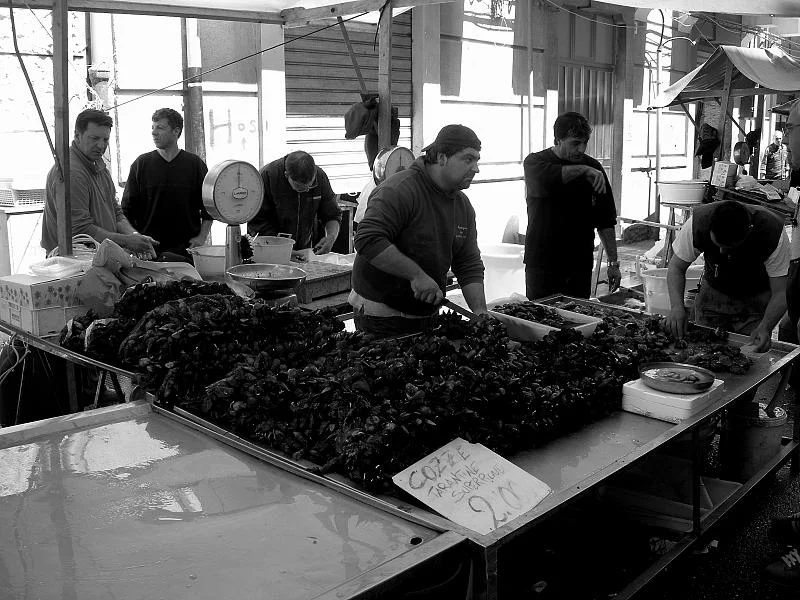 Moules tarantine servies fraîches sur un étal de poissonnier à Tarente