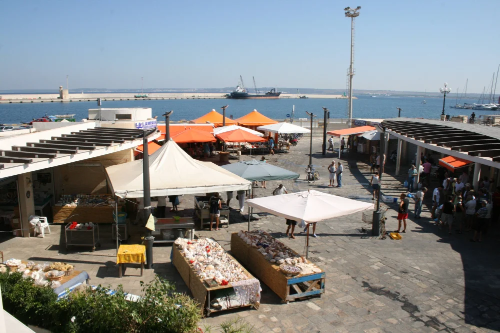 Marché aux poissons de Gallipoli au petit matin, étals de fruits de mer sur le quai