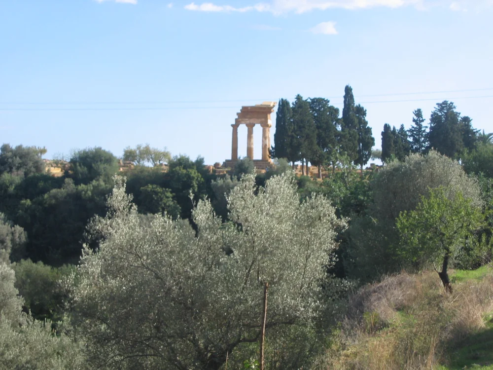 Orangers et canaux d'irrigation du jardin de la Kolymbethra, Vallée des Temples, Agrigente