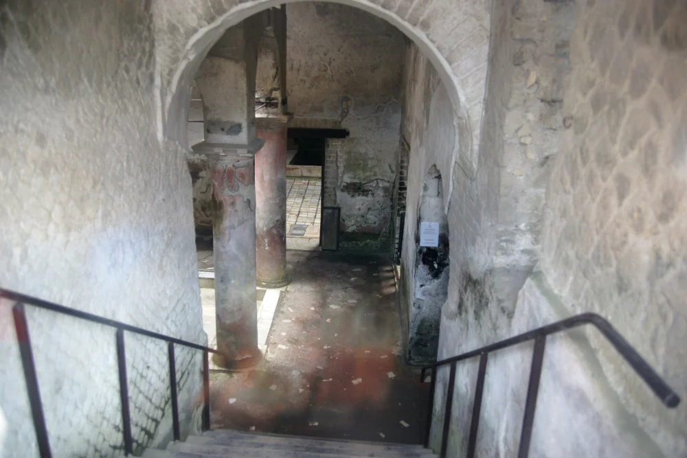 Les thermes et le collège des Augustales