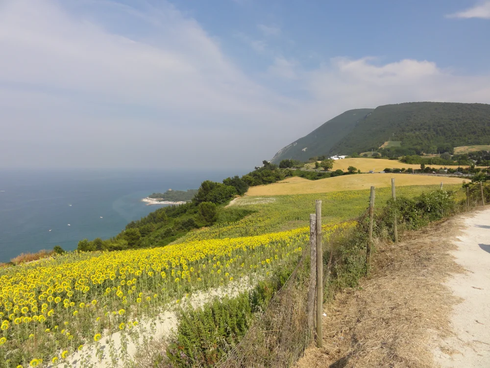 Promontoire boisé du Monte Conero surplombant l'Adriatique depuis Sirolo
