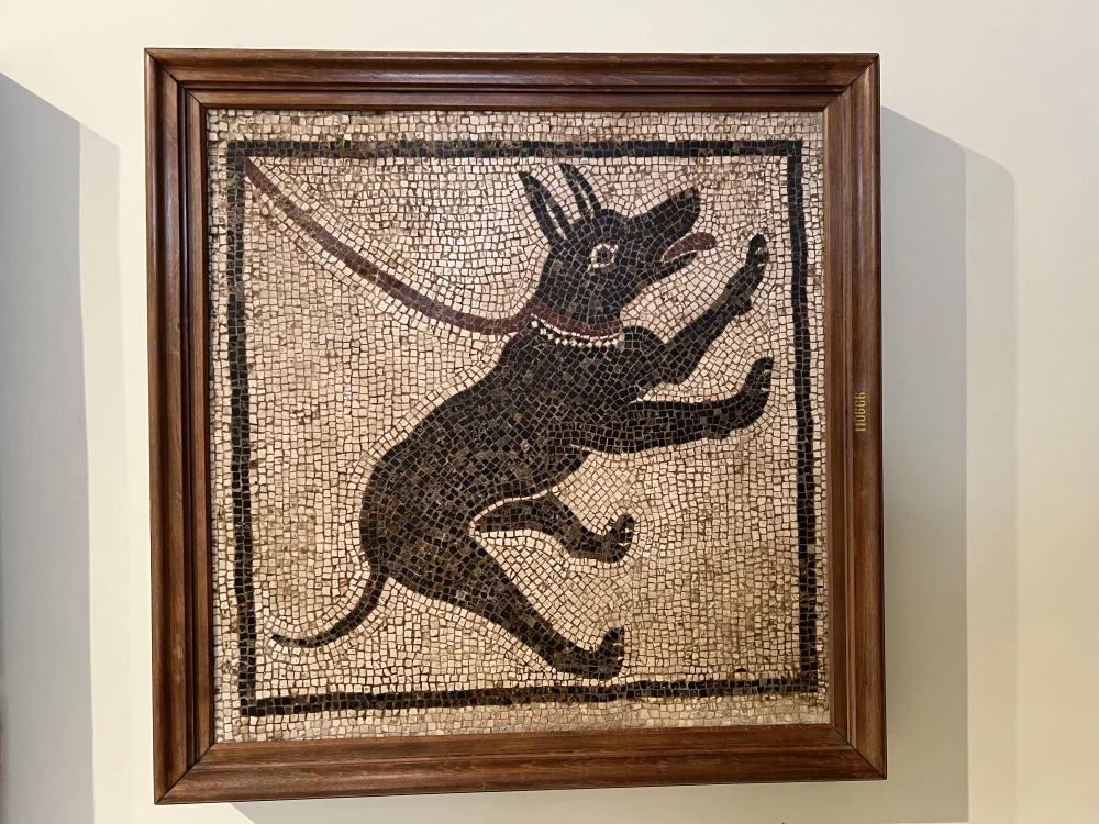 Les mosaïques de Pompéi