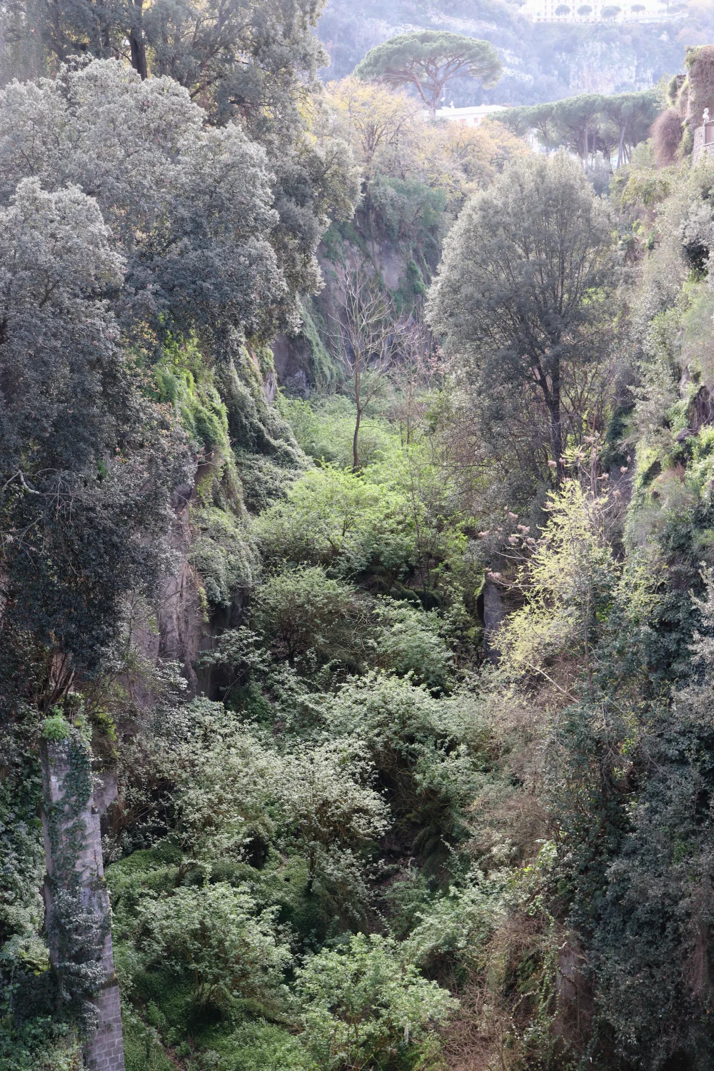 Le Vallone dei Mulini, gorge volcanique et ruines du moulin envahies par la végétation, Sorrente, Campanie