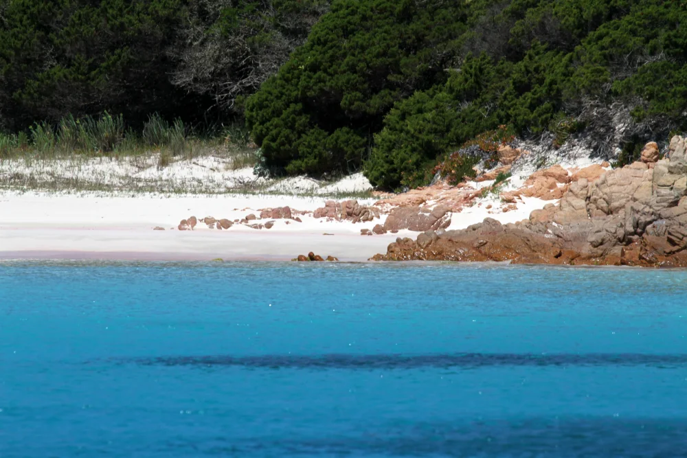 La Spiaggia Rosa se regarde depuis le bateau