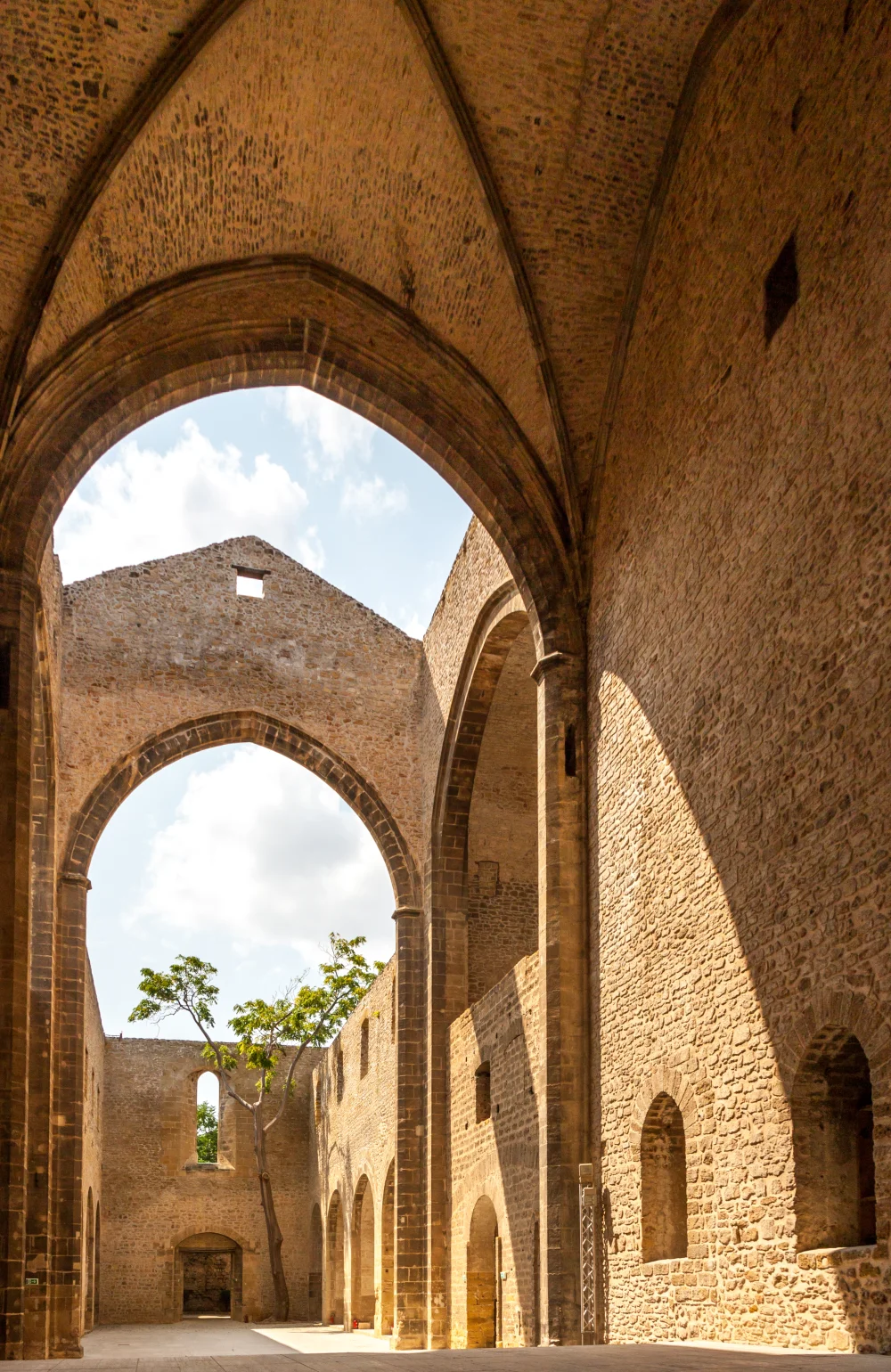 Nef à ciel ouvert de l'église Santa Maria dello Spasimo, quartier de la Kalsa, Palerme
