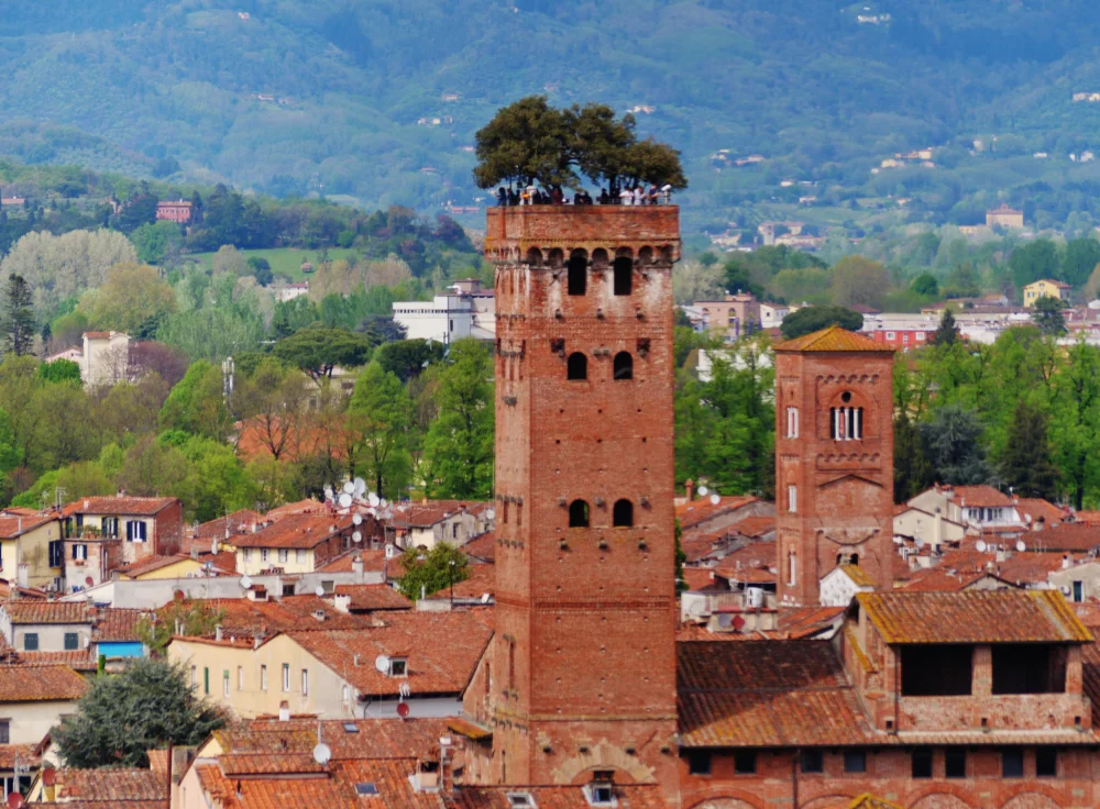 Sommet arboré de la Tour Guinigi vu depuis les toits de Lucques