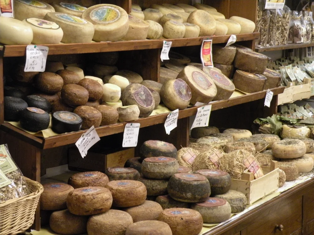 Sélection de pecorino de Pienza à différents stades d'affinage, étal en Toscane