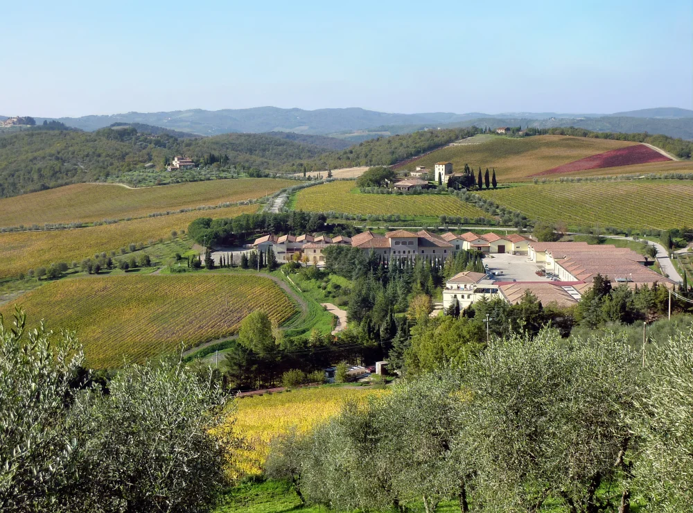 Cinq heures et demie : assez pour deux domaines, pas pour explorer tout le Chianti