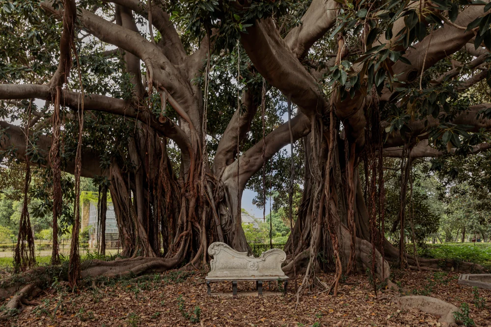Parc de Villa Trabia à Palerme